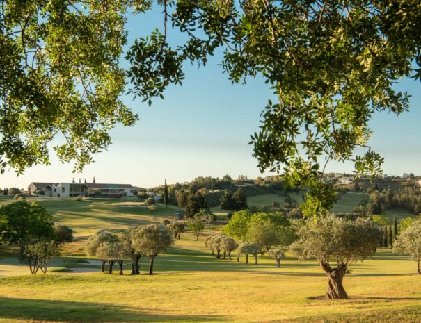 Minthis golden morning hour