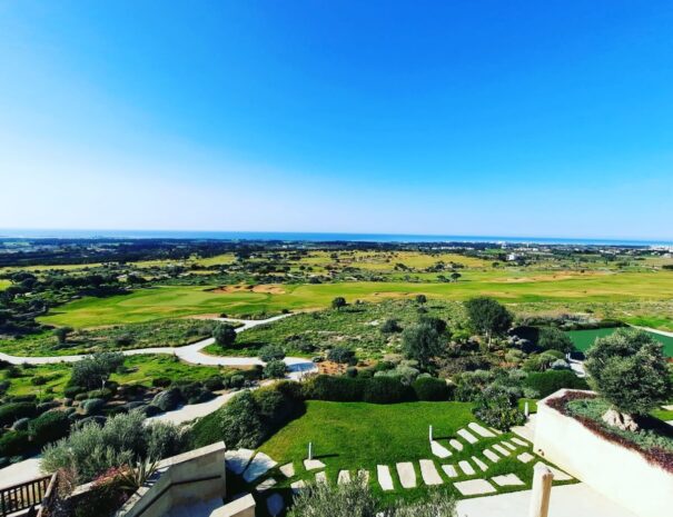 View from Library Terrace